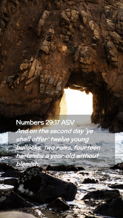 Picture 02 - Numbers 29:17 ASV Mobile Phone Wallpaper - And on the second day `ye shall offer' twelve - Mobile Bible Verse Wallpaper