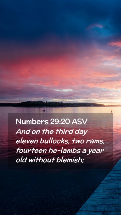 Picture 02 - Numbers 29:20 ASV Mobile Phone Wallpaper - And on the third day eleven bullocks, two rams, - Mobile Bible Verse Wallpaper