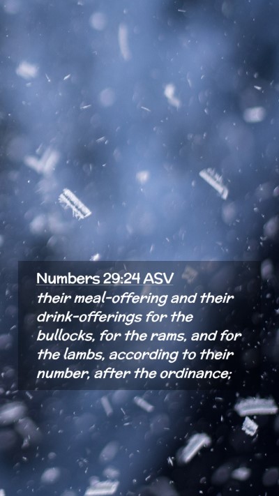 Picture 02 - Numbers 29:24 ASV Mobile Phone Wallpaper - their meal-offering and their drink-offerings for - Mobile Bible Verse Wallpaper