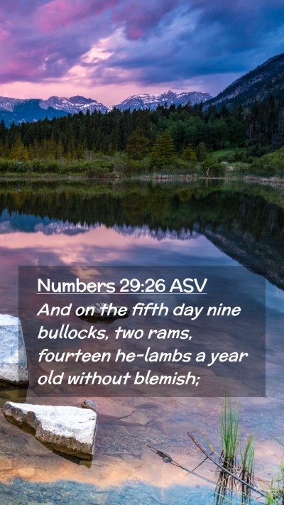Picture 02 - Numbers 29:26 ASV Mobile Phone Wallpaper - And on the fifth day nine bullocks, two rams, - Mobile Bible Verse Wallpaper