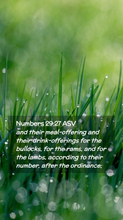 Picture 02 - Numbers 29:27 ASV Mobile Phone Wallpaper - and their meal-offering and their drink-offerings - Mobile Bible Verse Wallpaper