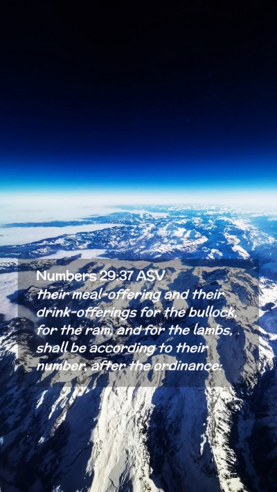 Picture 02 - Numbers 29:37 ASV Mobile Phone Wallpaper - their meal-offering and their drink-offerings for - Mobile Bible Verse Wallpaper
