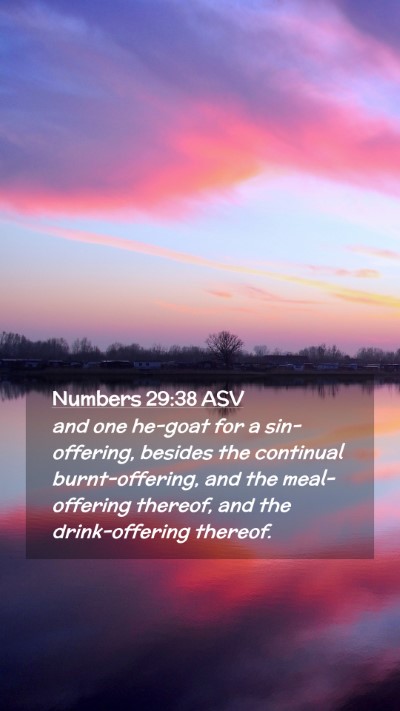 Picture 02 - Numbers 29:38 ASV Mobile Phone Wallpaper - and one he-goat for a sin-offering, besides the - Mobile Bible Verse Wallpaper
