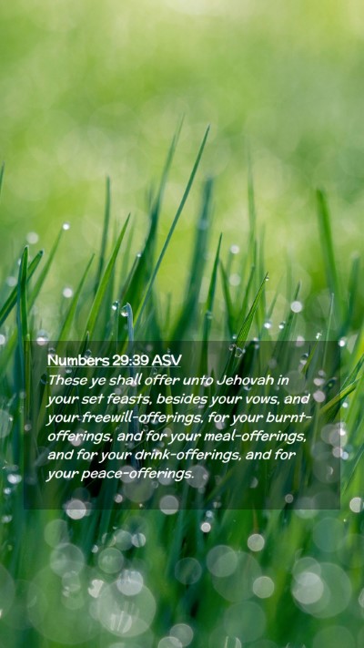 Picture 02 - Numbers 29:39 ASV Mobile Phone Wallpaper - These ye shall offer unto Jehovah in your set - Mobile Bible Verse Wallpaper