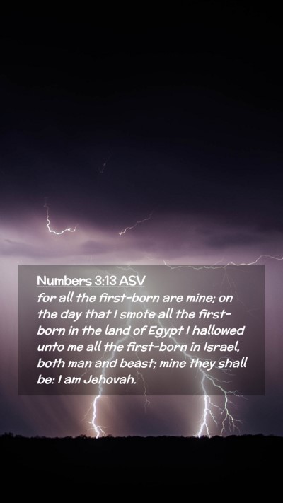 Picture 02 - Numbers 3:13 ASV Mobile Phone Wallpaper - for all the first-born are mine; on the day that - Mobile Bible Verse Wallpaper