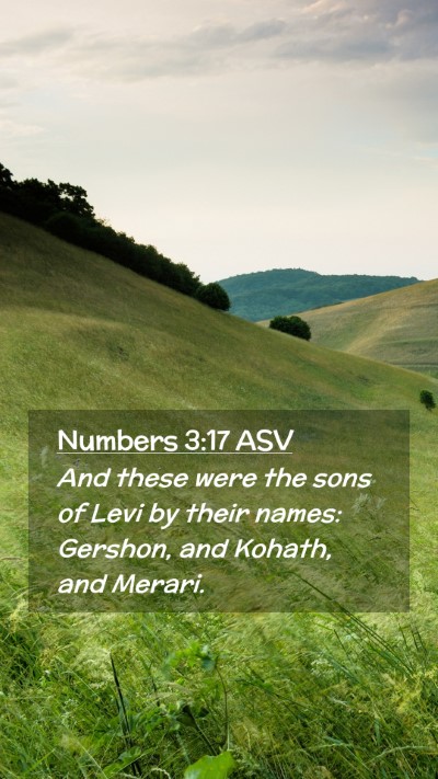 Picture 02 - Numbers 3:17 ASV Mobile Phone Wallpaper - And these were the sons of Levi by their names: - Mobile Bible Verse Wallpaper