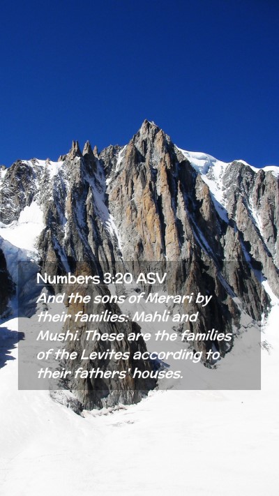 Picture 02 - Numbers 3:20 ASV Mobile Phone Wallpaper - And the sons of Merari by their families: Mahli - Mobile Bible Verse Wallpaper