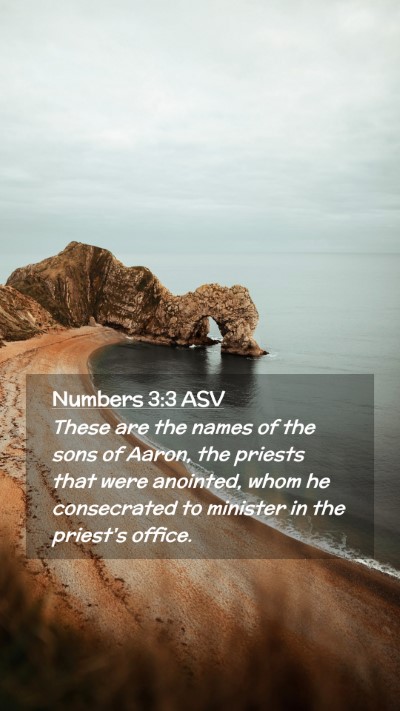 Picture 02 - Numbers 3:3 ASV Mobile Phone Wallpaper - These are the names of the sons of Aaron, the - Mobile Bible Verse Wallpaper