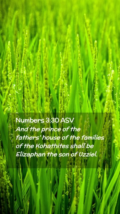 Picture 02 - Numbers 3:30 ASV Mobile Phone Wallpaper - And the prince of the fathers' house of the - Mobile Bible Verse Wallpaper