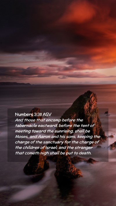 Picture 02 - Numbers 3:38 ASV Mobile Phone Wallpaper - And those that encamp before the tabernacle - Mobile Bible Verse Wallpaper