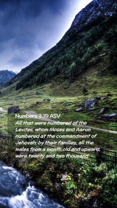Picture 02 - Numbers 3:39 ASV Mobile Phone Wallpaper - All that were numbered of the Levites, whom Moses - Mobile Bible Verse Wallpaper