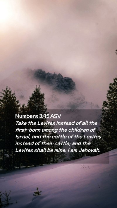 Picture 02 - Numbers 3:45 ASV Mobile Phone Wallpaper - Take the Levites instead of all the first-born - Mobile Bible Verse Wallpaper