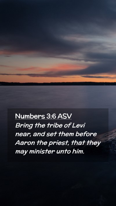 Picture 02 - Numbers 3:6 ASV Mobile Phone Wallpaper - Bring the tribe of Levi near, and set them before - Mobile Bible Verse Wallpaper