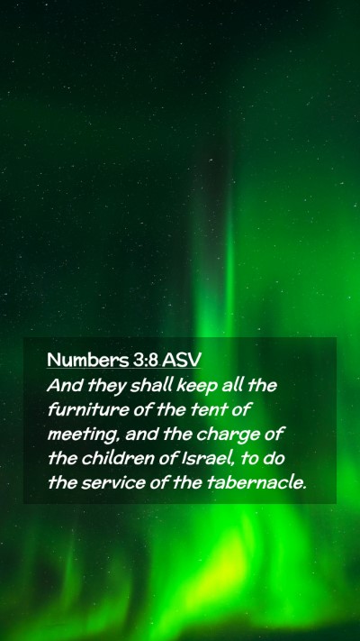 Picture 02 - Numbers 3:8 ASV Mobile Phone Wallpaper - And they shall keep all the furniture of the tent - Mobile Bible Verse Wallpaper