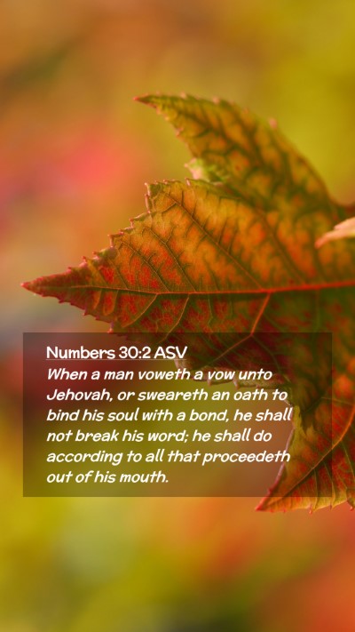 Picture 02 - Numbers 30:2 ASV Mobile Phone Wallpaper - When a man voweth a vow unto Jehovah, or sweareth - Mobile Bible Verse Wallpaper