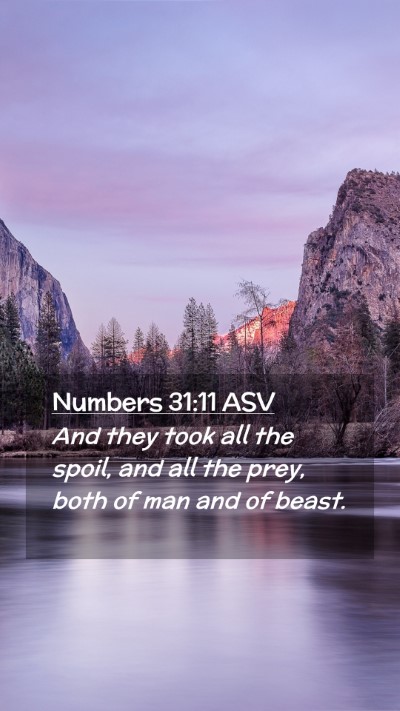 Picture 02 - Numbers 31:11 ASV Mobile Phone Wallpaper - And they took all the spoil, and all the prey, - Mobile Bible Verse Wallpaper