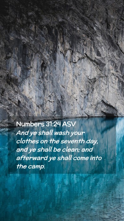Picture 02 - Numbers 31:24 ASV Mobile Phone Wallpaper - And ye shall wash your clothes on the seventh - Mobile Bible Verse Wallpaper