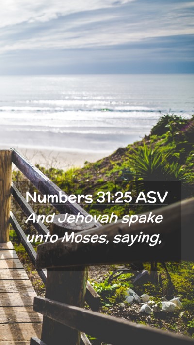 Picture 02 - Numbers 31:25 ASV Mobile Phone Wallpaper - And Jehovah spake unto Moses, - Mobile Bible Verse Wallpaper