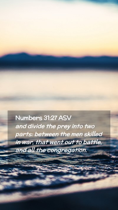 Picture 02 - Numbers 31:27 ASV Mobile Phone Wallpaper - and divide the prey into two parts: between the - Mobile Bible Verse Wallpaper
