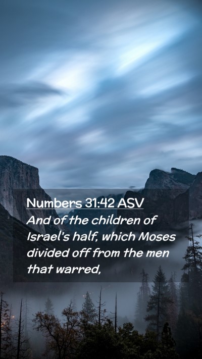 Picture 02 - Numbers 31:42 ASV Mobile Phone Wallpaper - And of the children of Israel's half, which Moses - Mobile Bible Verse Wallpaper
