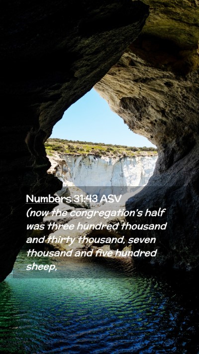 Picture 02 - Numbers 31:43 ASV Mobile Phone Wallpaper - (now the congregation's half was three hundred - Mobile Bible Verse Wallpaper