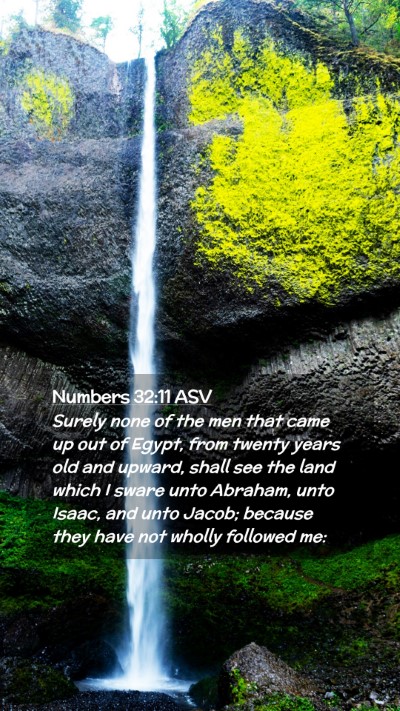 Picture 02 - Numbers 32:11 ASV Mobile Phone Wallpaper - Surely none of the men that came up out of Egypt, - Mobile Bible Verse Wallpaper