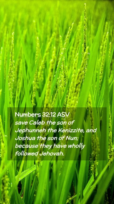Picture 02 - Numbers 32:12 ASV Mobile Phone Wallpaper - save Caleb the son of Jephunneh the Kenizzite, - Mobile Bible Verse Wallpaper