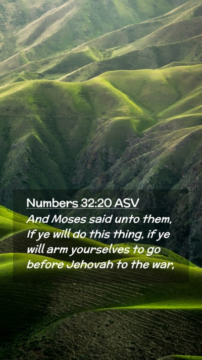 Picture 02 - Numbers 32:20 ASV Mobile Phone Wallpaper - And Moses said unto them, If ye will do this - Mobile Bible Verse Wallpaper