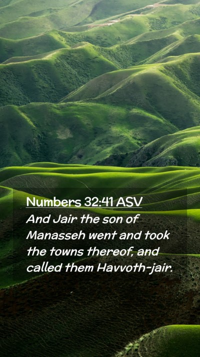 Picture 02 - Numbers 32:41 ASV Mobile Phone Wallpaper - And Jair the son of Manasseh went and took the - Mobile Bible Verse Wallpaper
