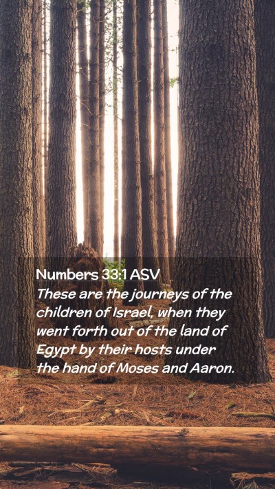 Picture 02 - Numbers 33:1 ASV Mobile Phone Wallpaper - These are the journeys of the children of Israel, - Mobile Bible Verse Wallpaper
