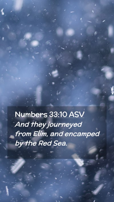 Picture 02 - Numbers 33:10 ASV Mobile Phone Wallpaper - And they journeyed from Elim, and encamped by the - Mobile Bible Verse Wallpaper