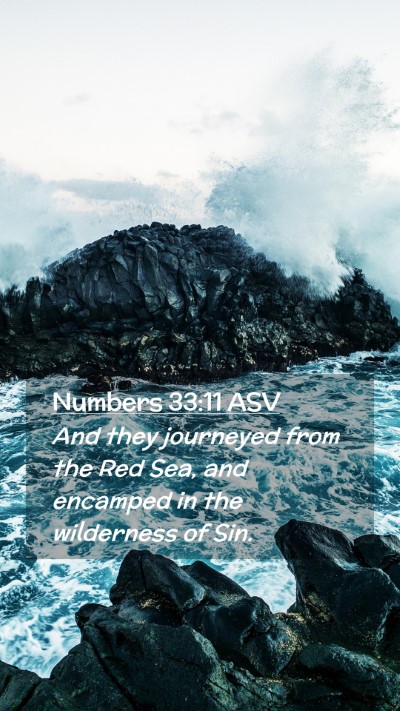 Picture 02 - Numbers 33:11 ASV Mobile Phone Wallpaper - And they journeyed from the Red Sea, and encamped - Mobile Bible Verse Wallpaper