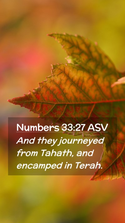 Picture 02 - Numbers 33:27 ASV Mobile Phone Wallpaper - And they journeyed from Tahath, and encamped in - Mobile Bible Verse Wallpaper