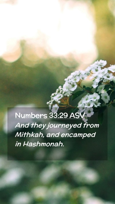 Picture 02 - Numbers 33:29 ASV Mobile Phone Wallpaper - And they journeyed from Mithkah, and encamped in - Mobile Bible Verse Wallpaper