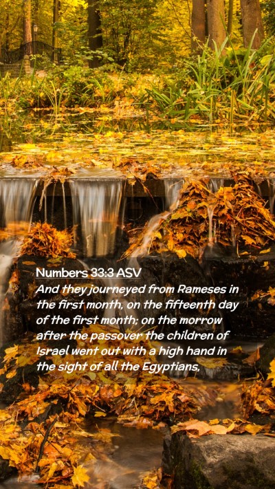 Picture 02 - Numbers 33:3 ASV Mobile Phone Wallpaper - And they journeyed from Rameses in the first - Mobile Bible Verse Wallpaper