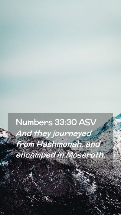 Picture 02 - Numbers 33:30 ASV Mobile Phone Wallpaper - And they journeyed from Hashmonah, and encamped - Mobile Bible Verse Wallpaper