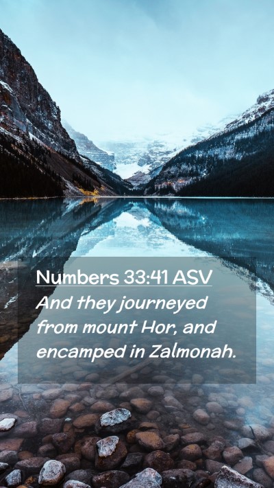 Picture 02 - Numbers 33:41 ASV Mobile Phone Wallpaper - And they journeyed from mount Hor, and encamped - Mobile Bible Verse Wallpaper