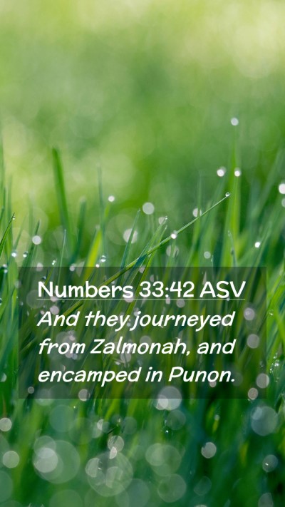 Picture 02 - Numbers 33:42 ASV Mobile Phone Wallpaper - And they journeyed from Zalmonah, and encamped in - Mobile Bible Verse Wallpaper
