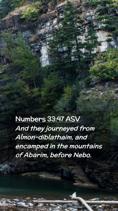 Picture 02 - Numbers 33:47 ASV Mobile Phone Wallpaper - And they journeyed from Almon-diblathaim, and - Mobile Bible Verse Wallpaper