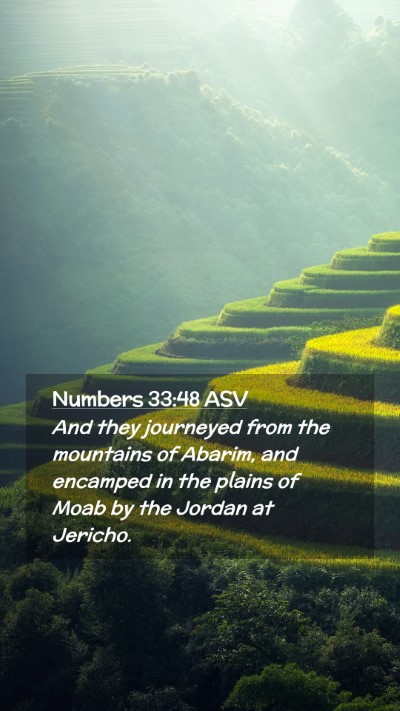 Picture 02 - Numbers 33:48 ASV Mobile Phone Wallpaper - And they journeyed from the mountains of Abarim, - Mobile Bible Verse Wallpaper