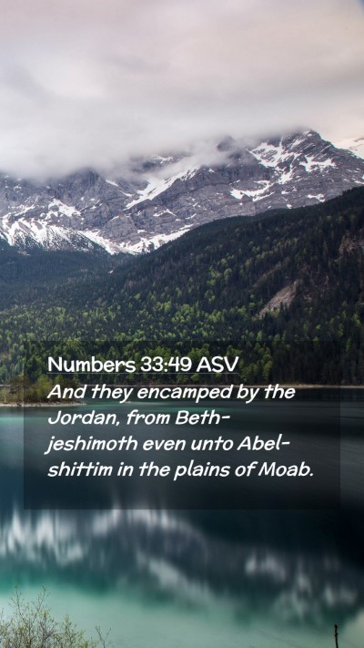 Picture 02 - Numbers 33:49 ASV Mobile Phone Wallpaper - And they encamped by the Jordan, from - Mobile Bible Verse Wallpaper