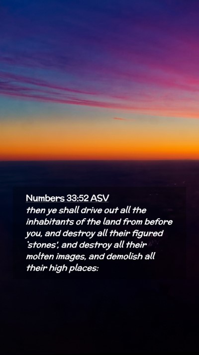 Picture 02 - Numbers 33:52 ASV Mobile Phone Wallpaper - then ye shall drive out all the inhabitants of - Mobile Bible Verse Wallpaper