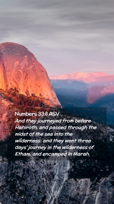 Picture 02 - Numbers 33:8 ASV Mobile Phone Wallpaper - And they journeyed from before Hahiroth, and - Mobile Bible Verse Wallpaper