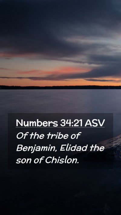 Picture 02 - Numbers 34:21 ASV Mobile Phone Wallpaper - Of the tribe of Benjamin, Elidad the son of - Mobile Bible Verse Wallpaper