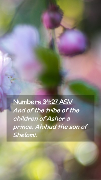 Picture 02 - Numbers 34:27 ASV Mobile Phone Wallpaper - And of the tribe of the children of Asher a - Mobile Bible Verse Wallpaper