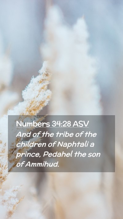 Picture 02 - Numbers 34:28 ASV Mobile Phone Wallpaper - And of the tribe of the children of Naphtali a - Mobile Bible Verse Wallpaper