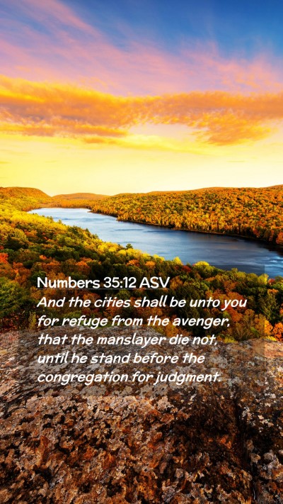 Picture 02 - Numbers 35:12 ASV Mobile Phone Wallpaper - And the cities shall be unto you for refuge from - Mobile Bible Verse Wallpaper