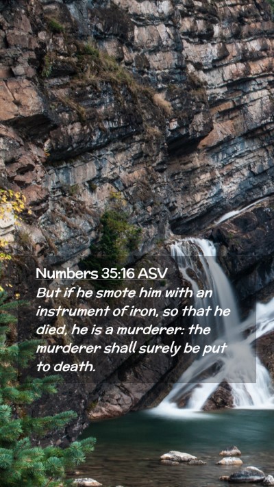 Picture 02 - Numbers 35:16 ASV Mobile Phone Wallpaper - But if he smote him with an instrument of iron, - Mobile Bible Verse Wallpaper