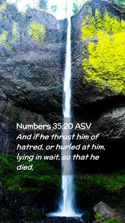 Picture 02 - Numbers 35:20 ASV Mobile Phone Wallpaper - And if he thrust him of hatred, or hurled at him, - Mobile Bible Verse Wallpaper