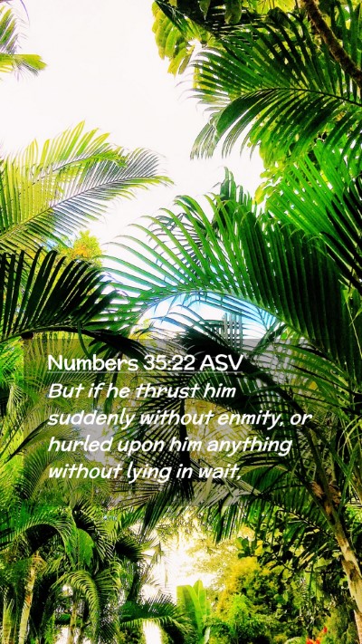 Picture 02 - Numbers 35:22 ASV Mobile Phone Wallpaper - But if he thrust him suddenly without enmity, or - Mobile Bible Verse Wallpaper